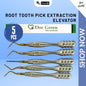 Root Tooth Pick Extraction Elevator (5pcs)