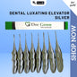 Dental Luxating Elevator Silver