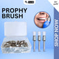 Prophylaxis Brush
